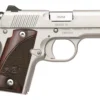 kimber micro 9